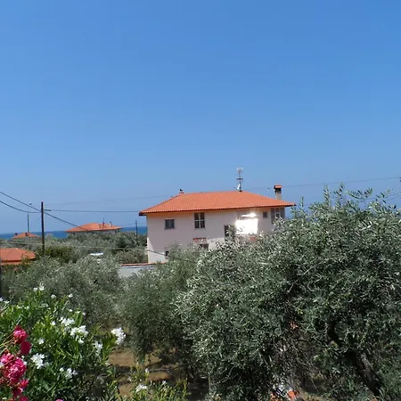 Amarilia Szkála Rahoníu